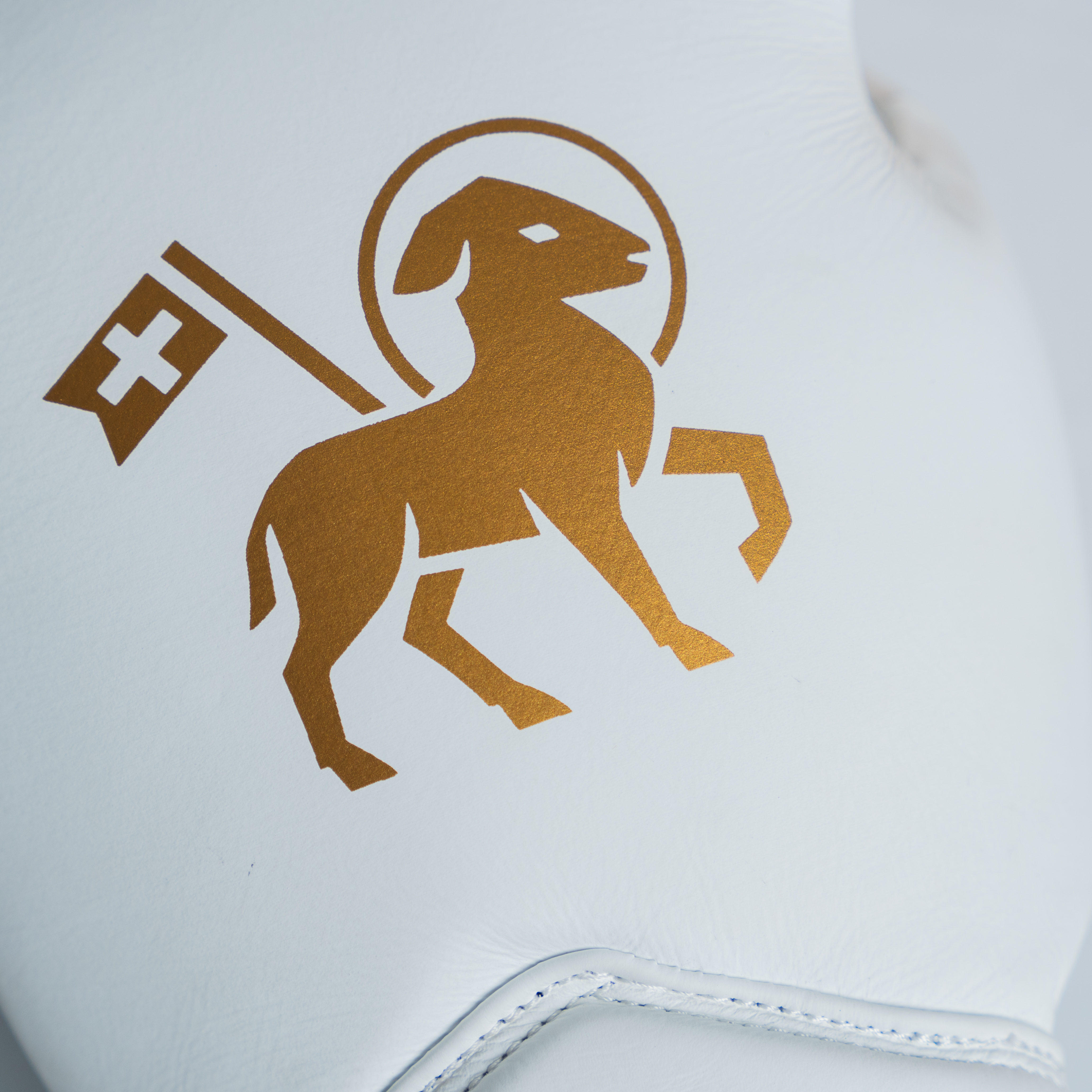 White Disciple Pro Gloves - Logo Detail